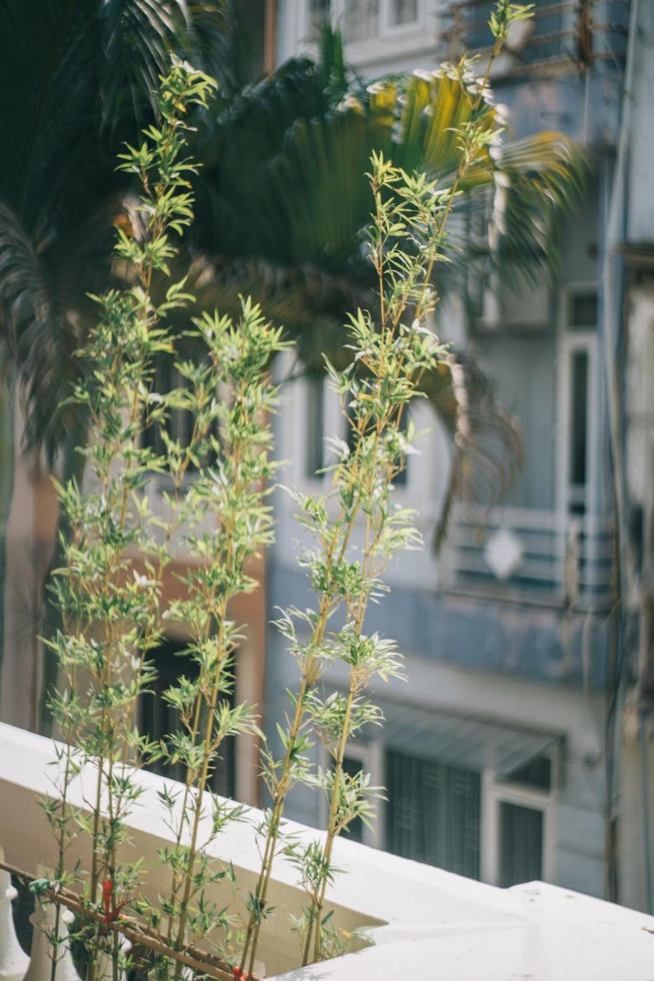 Hanoi's Hidden Gem Escape Balcony-flexible Check In Early-free Pickup Căn hộ Hà Nội